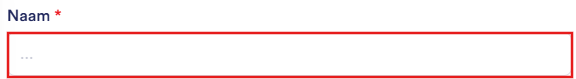 NL---Webservice---AI---Instellingen---Naam.png