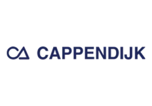 CDP and Marketing Automation for Automotive